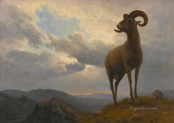 羊飼い Painting - オオツノヒツジ アメリカのアルバート ビアシュタットの動物